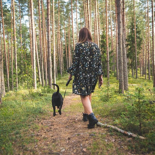Mooie wandelplekken met je hond: Brabant - Huisdierplezier