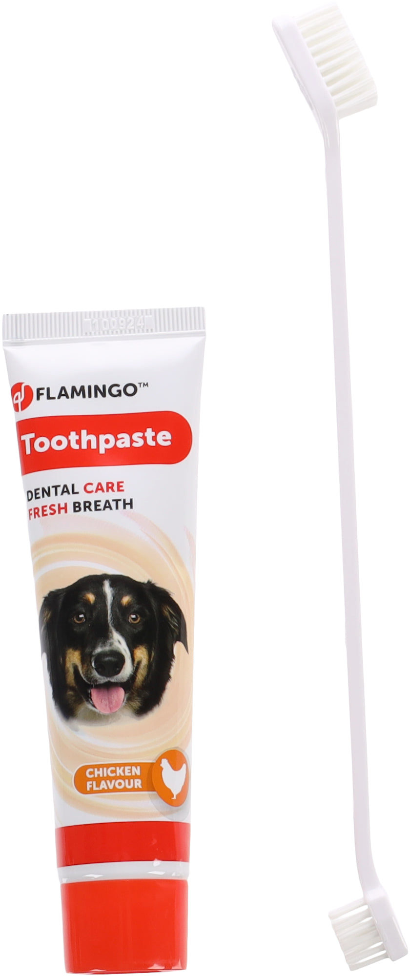 honden Tandpasta Kippensmaak + Tandenborstel - Huisdierplezier