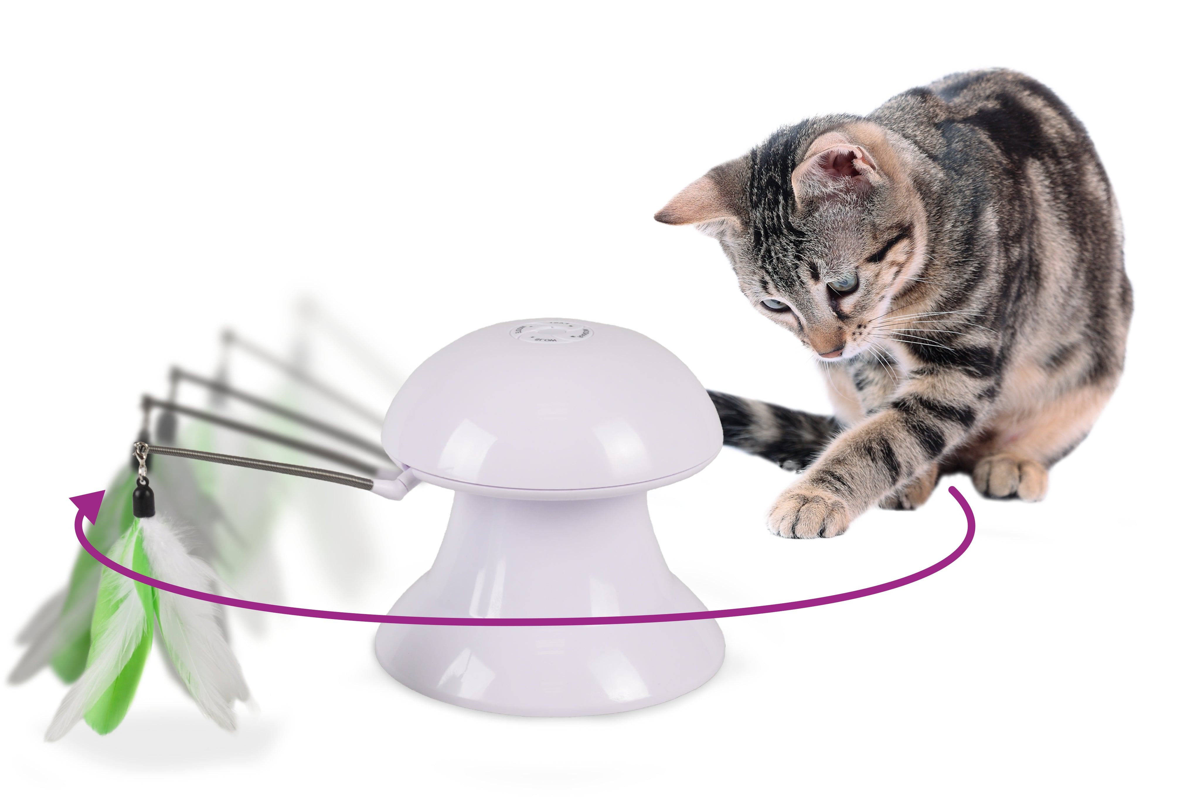 2in1 Draai & Laser Veren interactief kattenspeeltje - Huisdierplezier