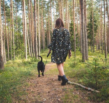 Mooie wandelplekken met je hond: Brabant - Huisdierplezier