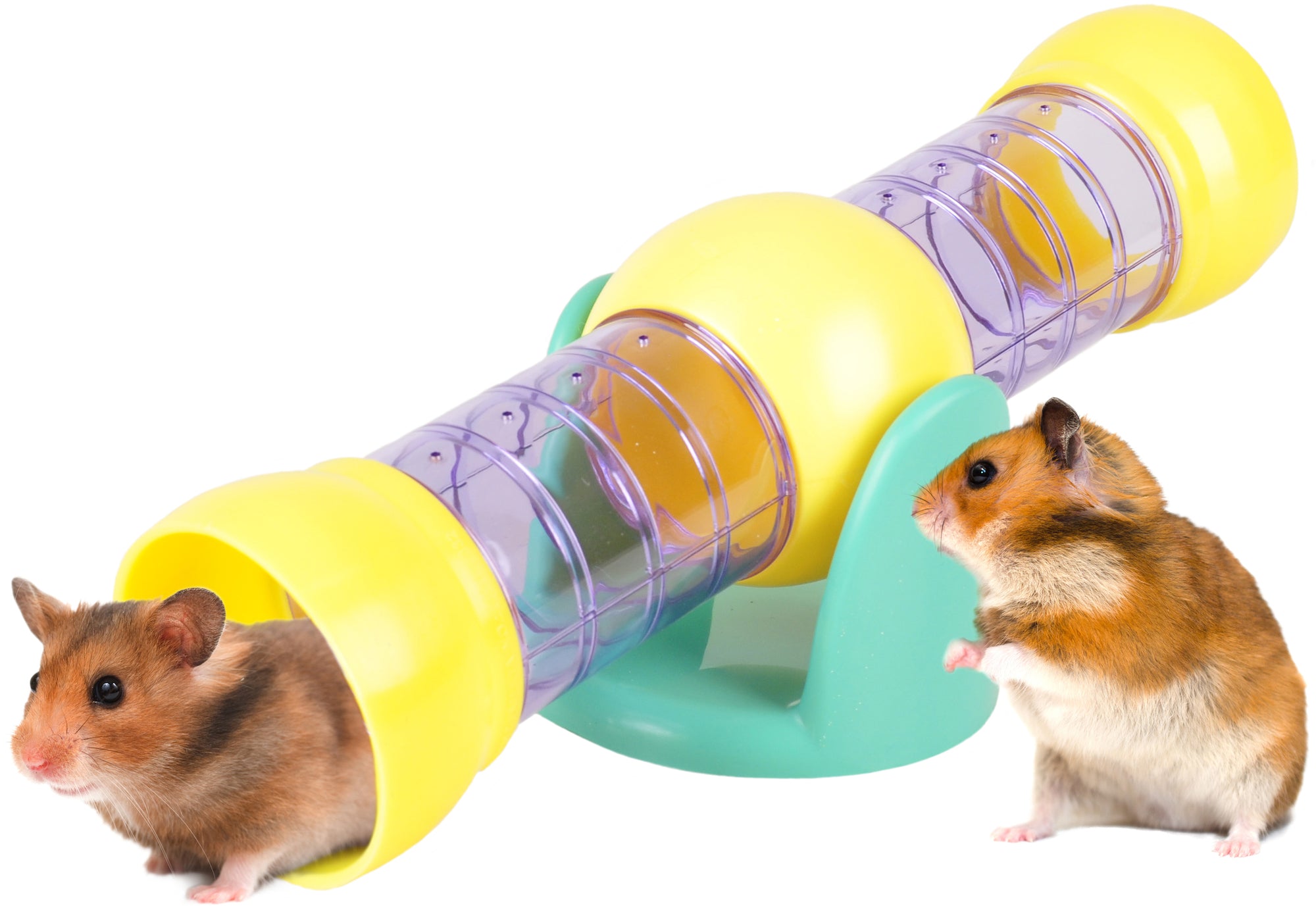 Hamster Tube Wip Tunnel - Huisdierplezier