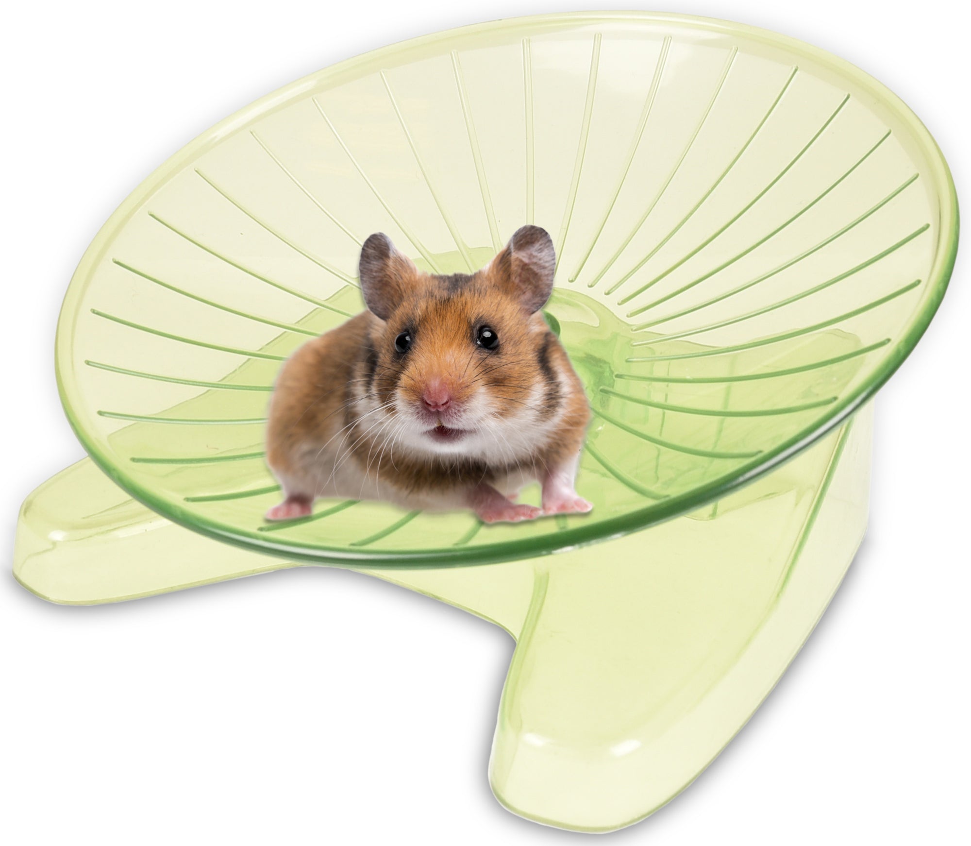 Hamster Speelgoed Vliegende Schotel - Huisdierplezier