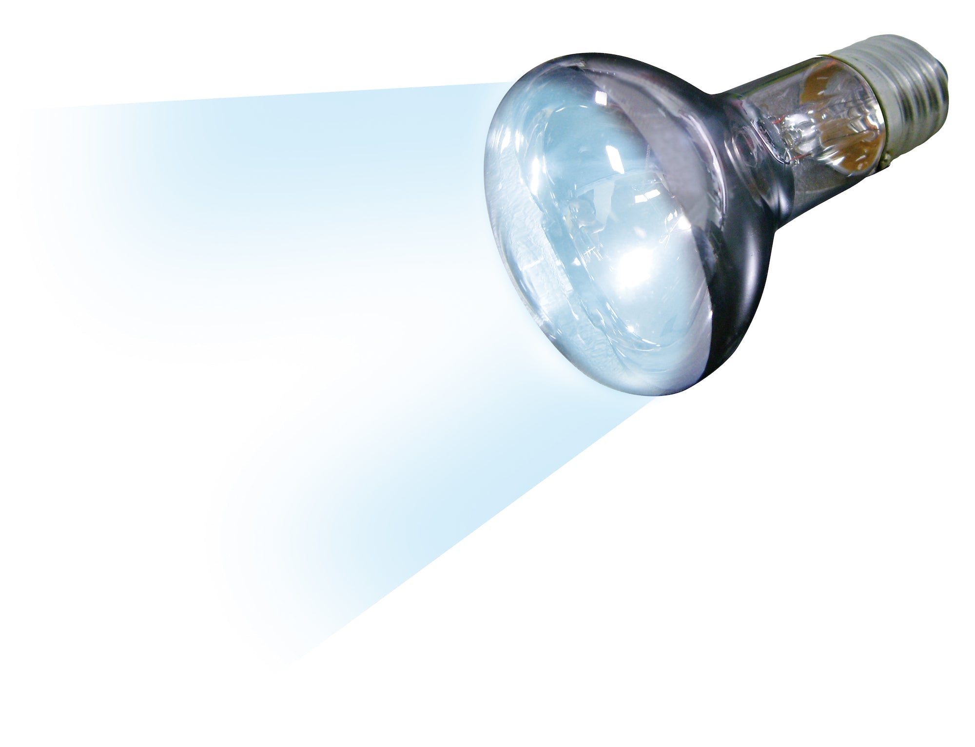 Daglichtlamp Terrarium met Neodymium UV-A Stralen - Huisdierplezier
