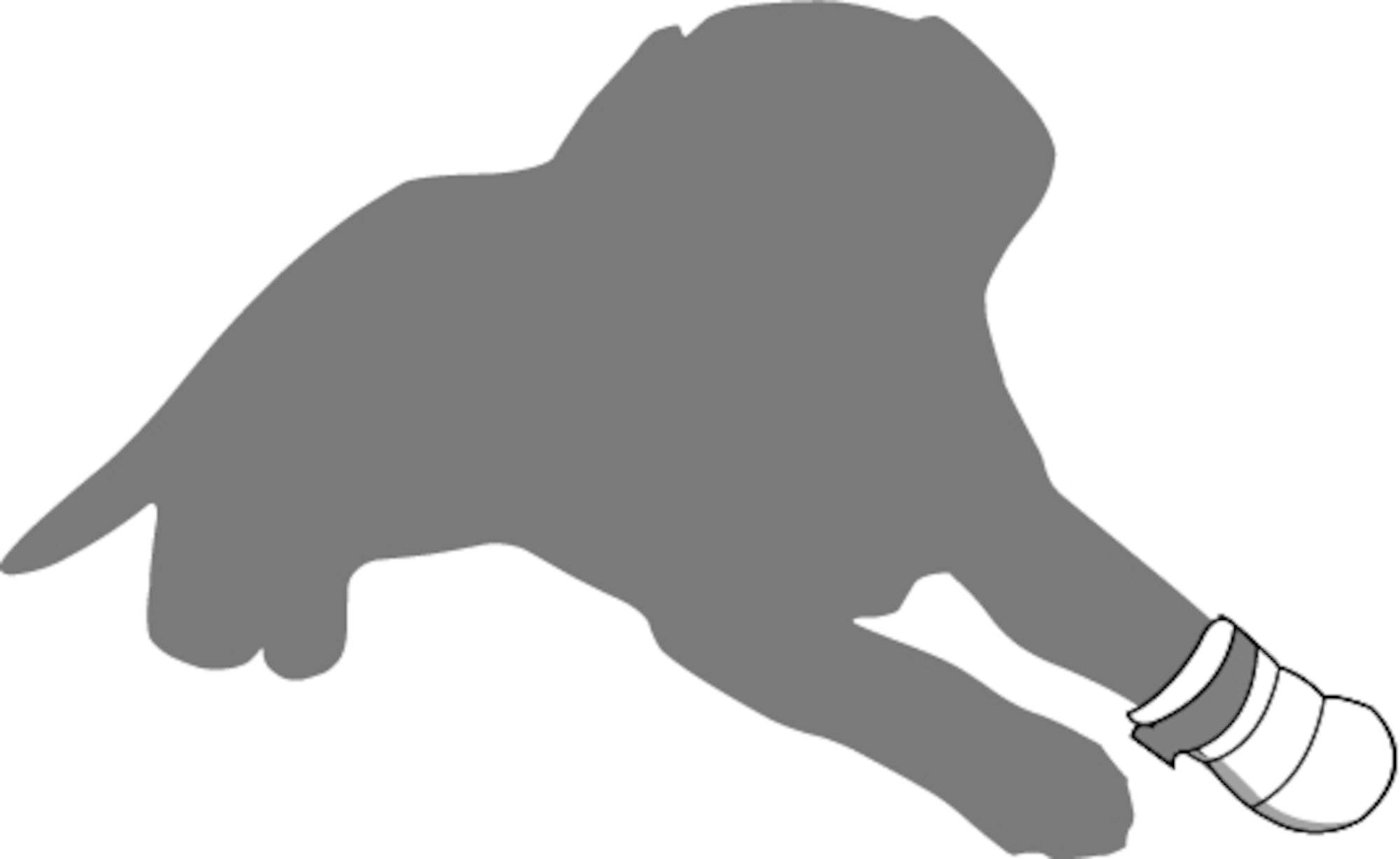 Honden Pootbeschermer - Huisdierplezier