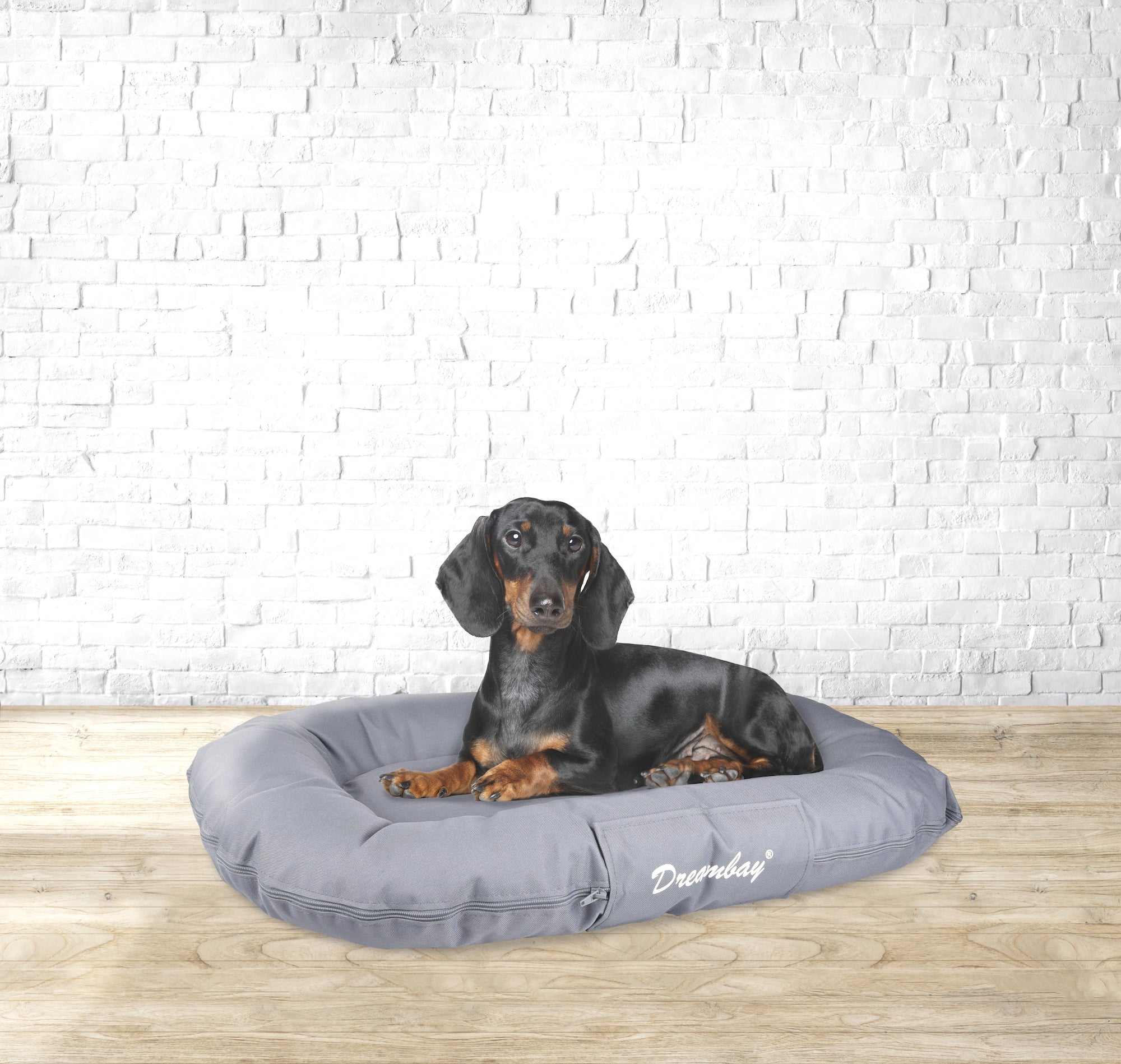 Ovaal hondenkussen Dreambay grijs - Huisdierplezier