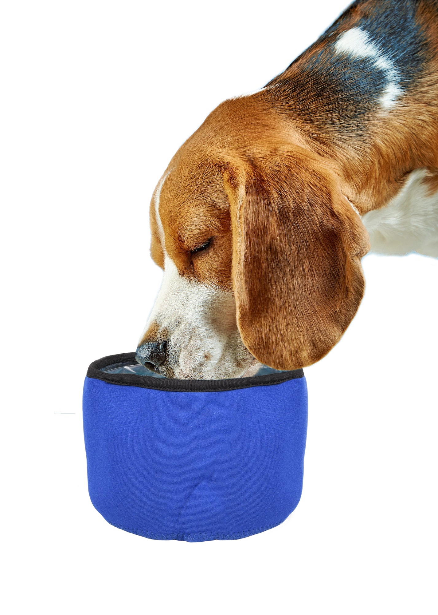 Koelende honden Drinkbak Fresk - Huisdierplezier