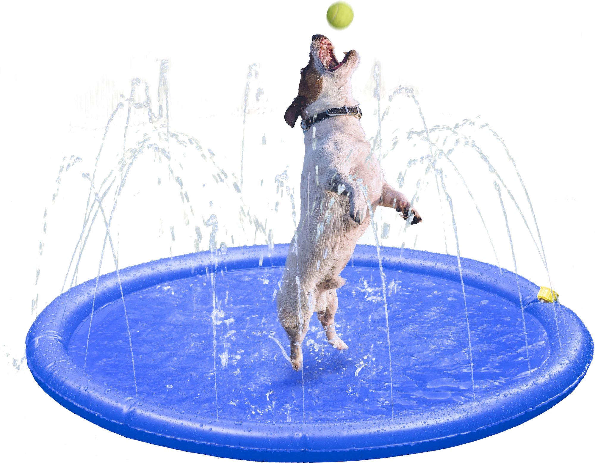 Honden Water Sprinkel mat - Huisdierplezier