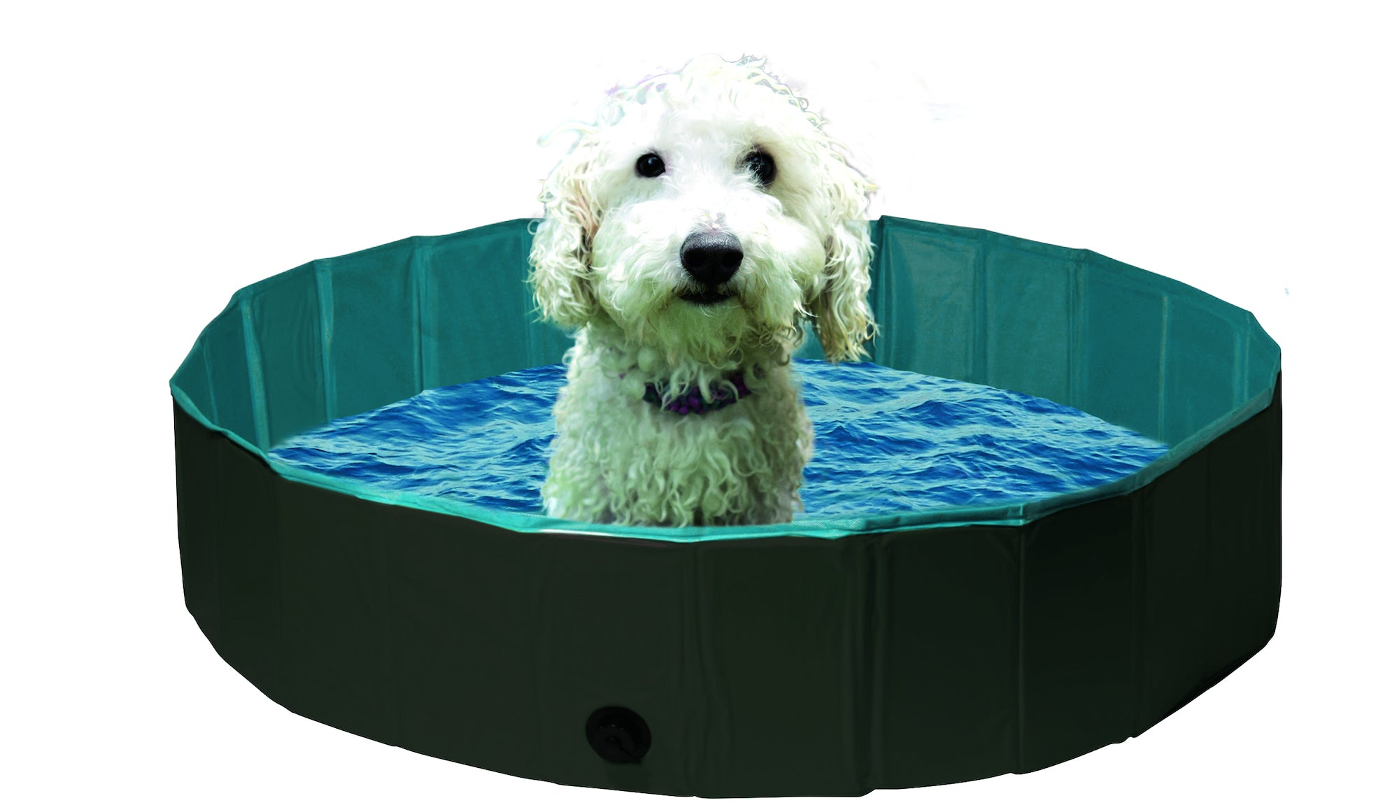 Hondenzwembad Splash rond donkergrijs - Huisdierplezier