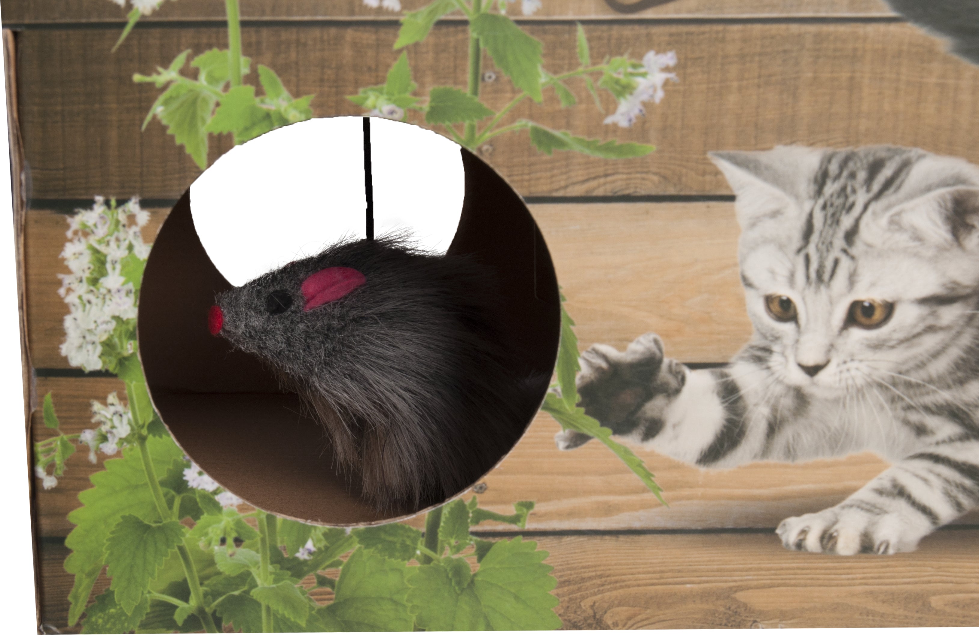 Krabkarton Ramp katten Speelbox - Huisdierplezier