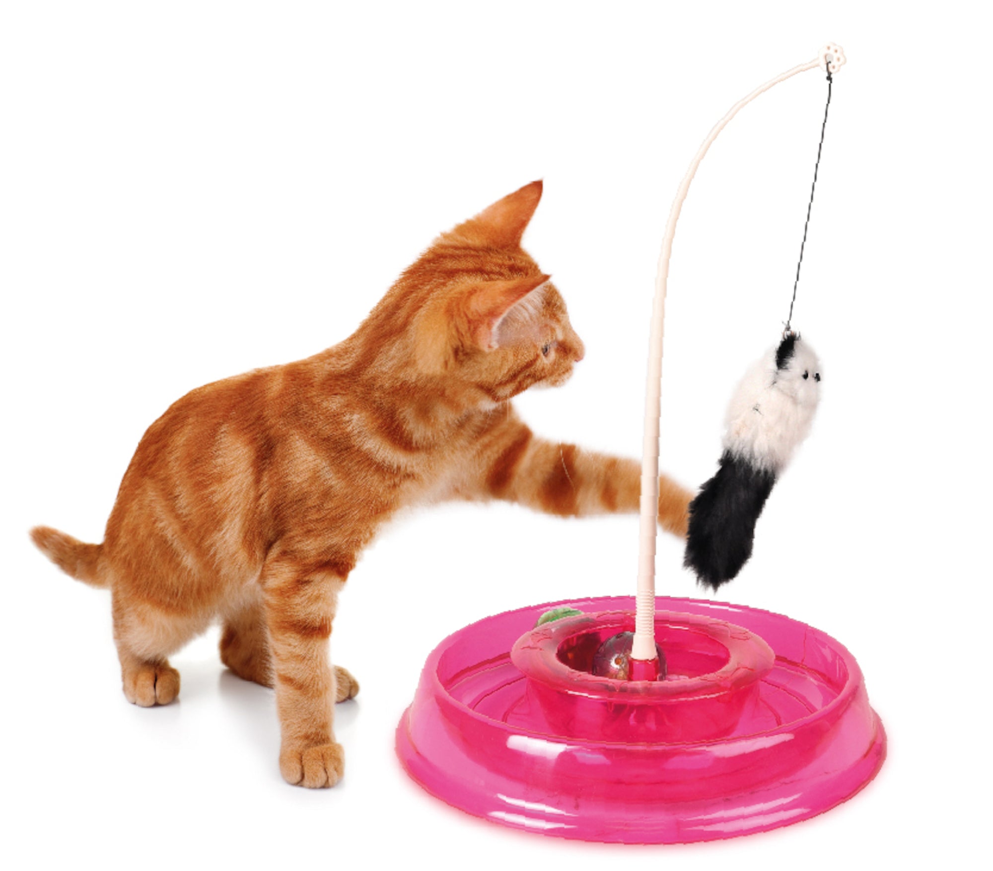 Interactief kattenspeeltje Race ballenbaan - Huisdierplezier