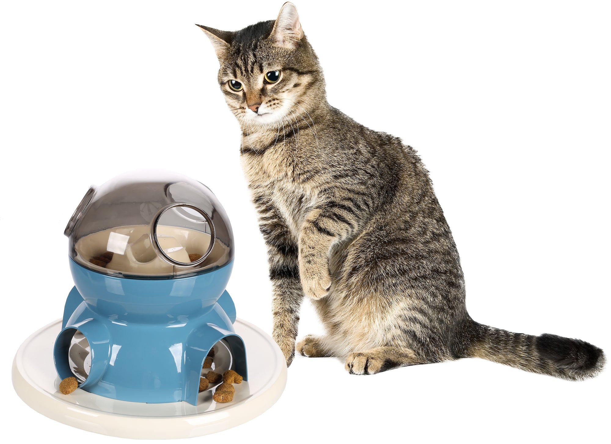 Interactief Kattenspeelgoed Snack zoeker - Huisdierplezier
