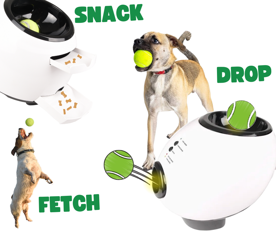 Automatische honden Tennisbal Gooier