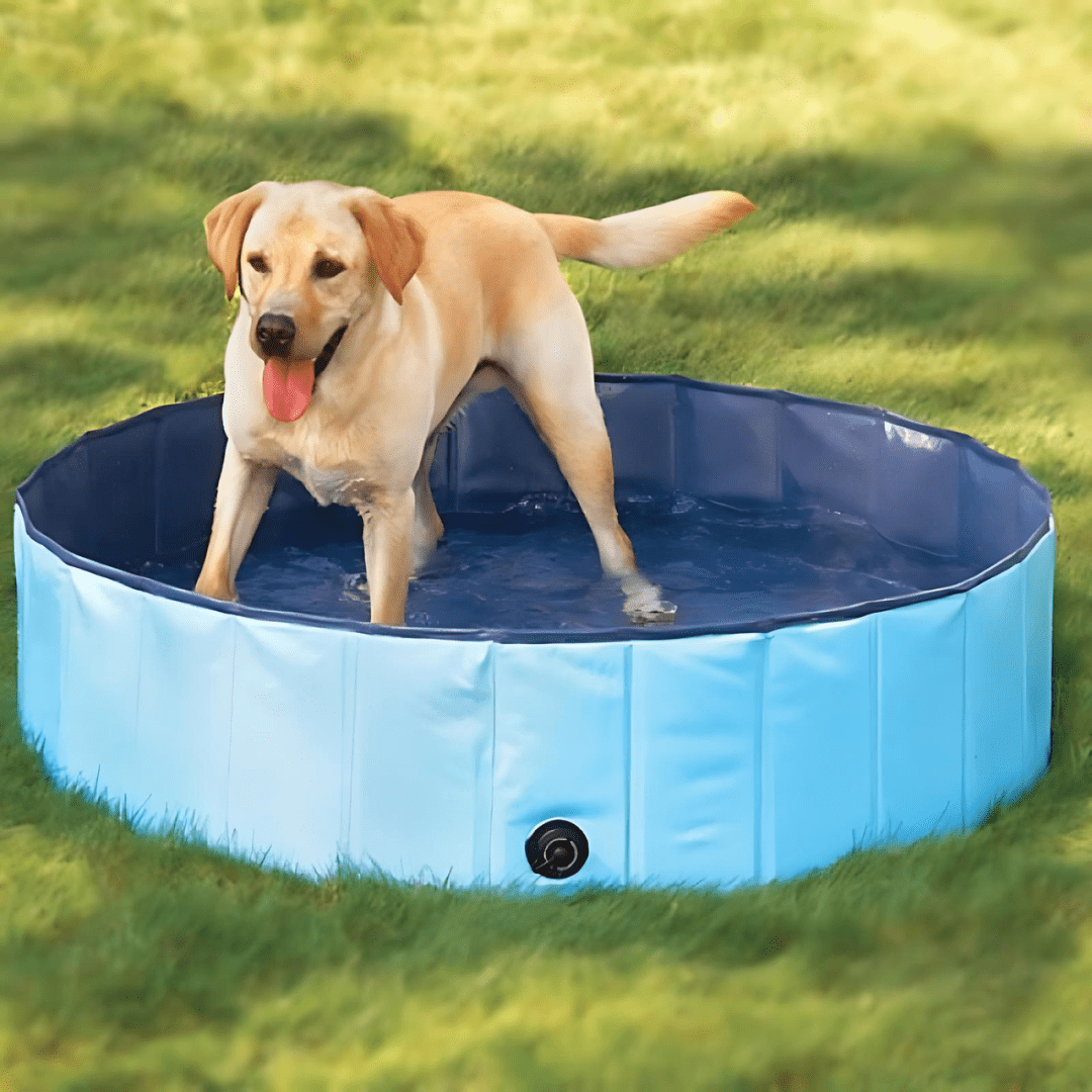 Hondenzwembad Doggy Splatter pool blauw - Huisdierplezier