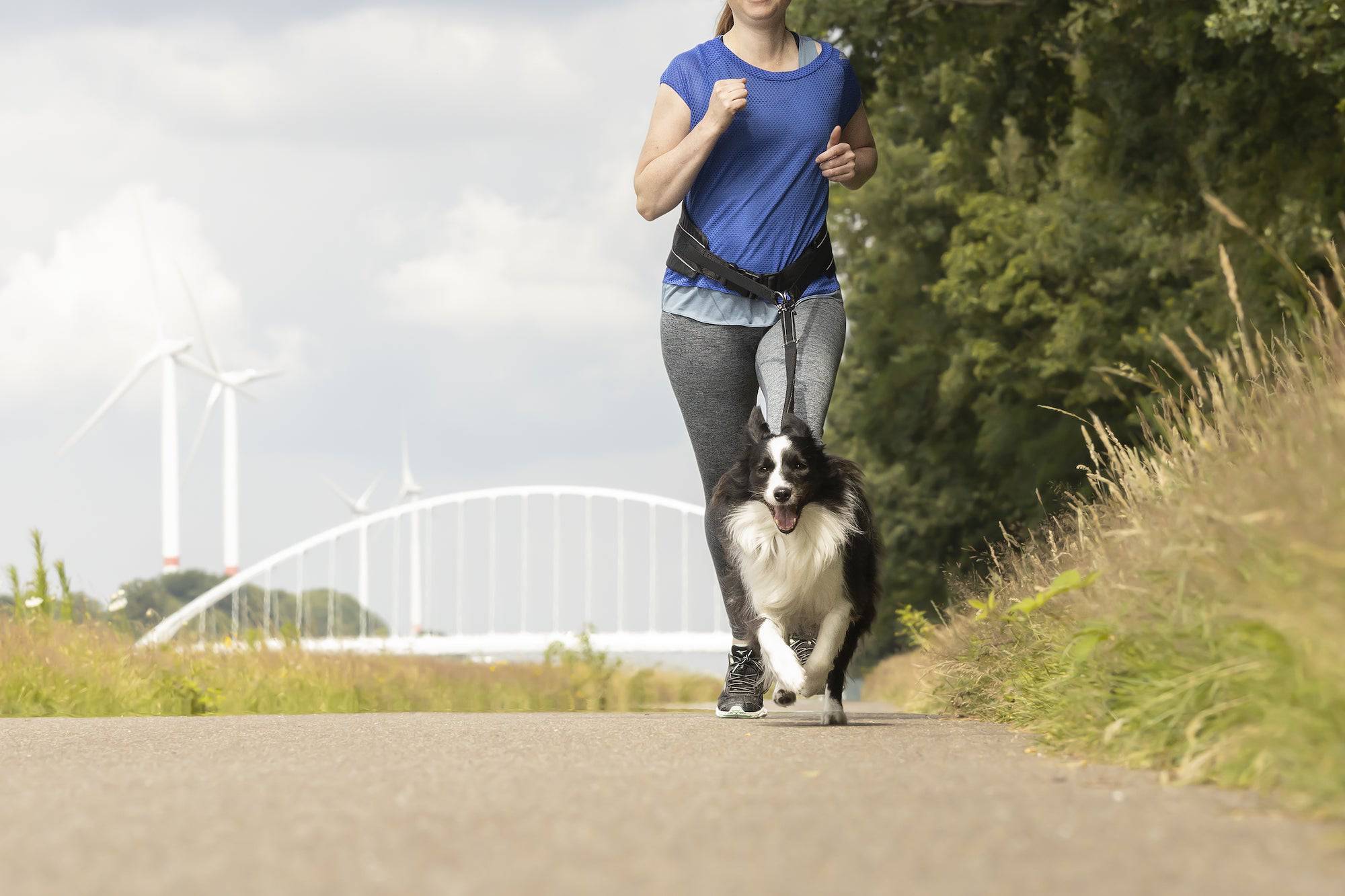 Jogginglijn met Comfort Heupriem - Huisdierplezier