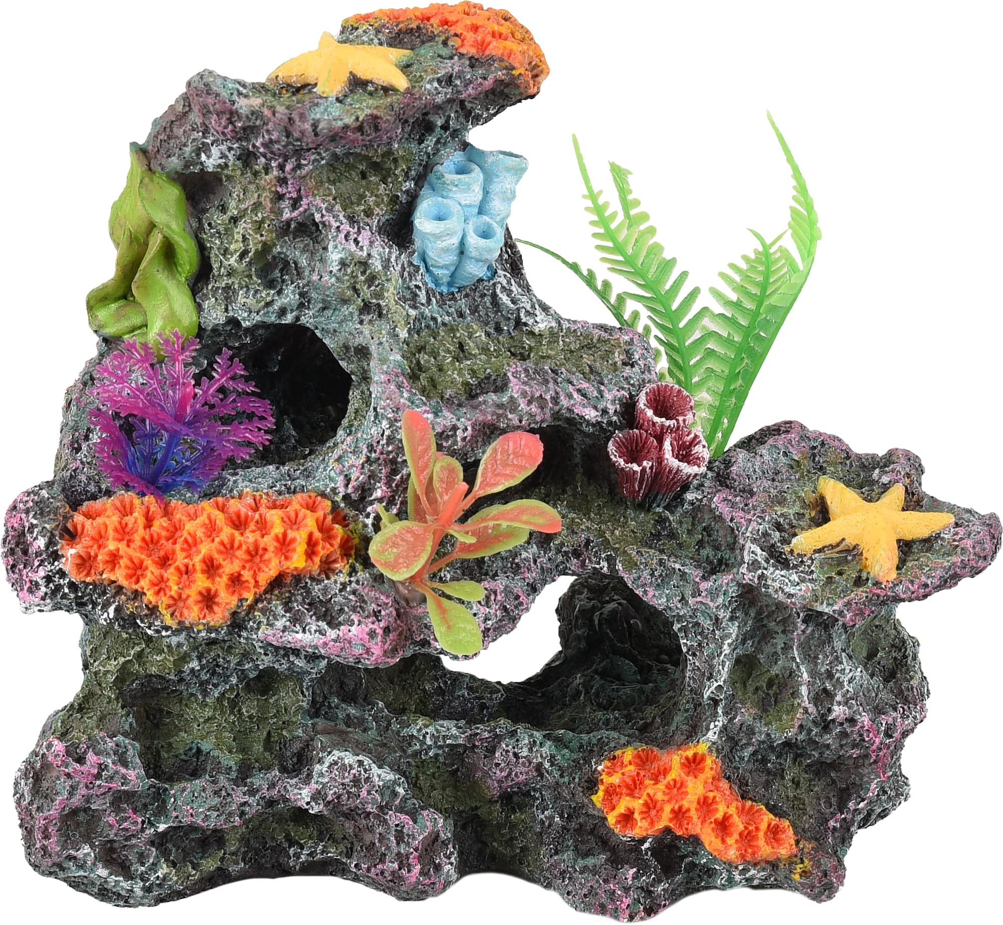 aquarium Koralia Koraalrots