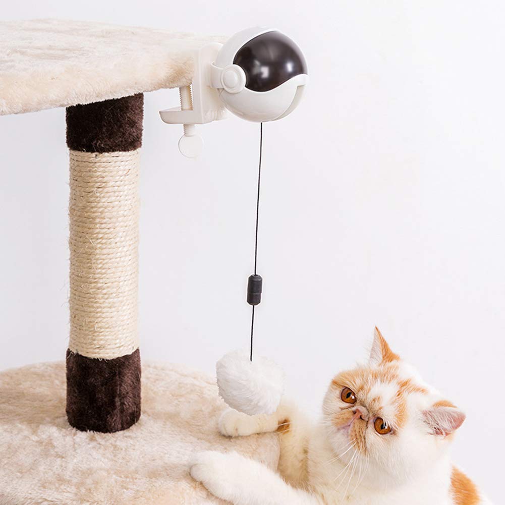 Interactief Kattenspeeltje Spinny Bal