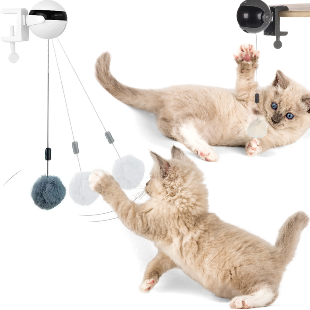 Interactief Kattenspeeltje Spinny Bal - Huisdierplezier