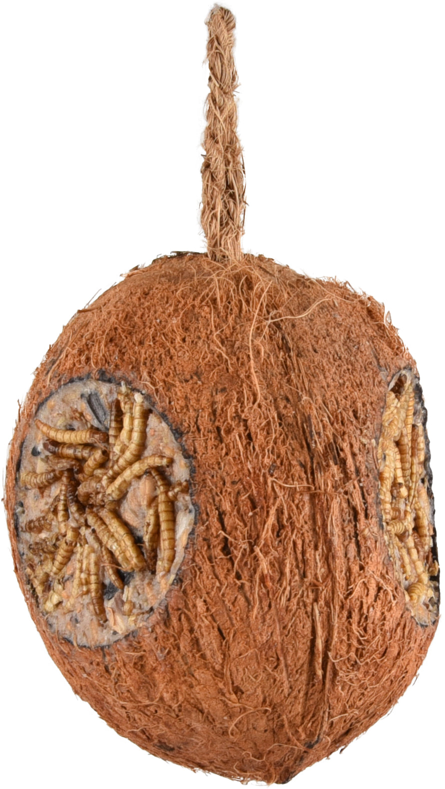 Vogel Kokosnoot met Meelwormen - Huisdierplezier