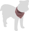 Honden Bandana roos - Huisdierplezier
